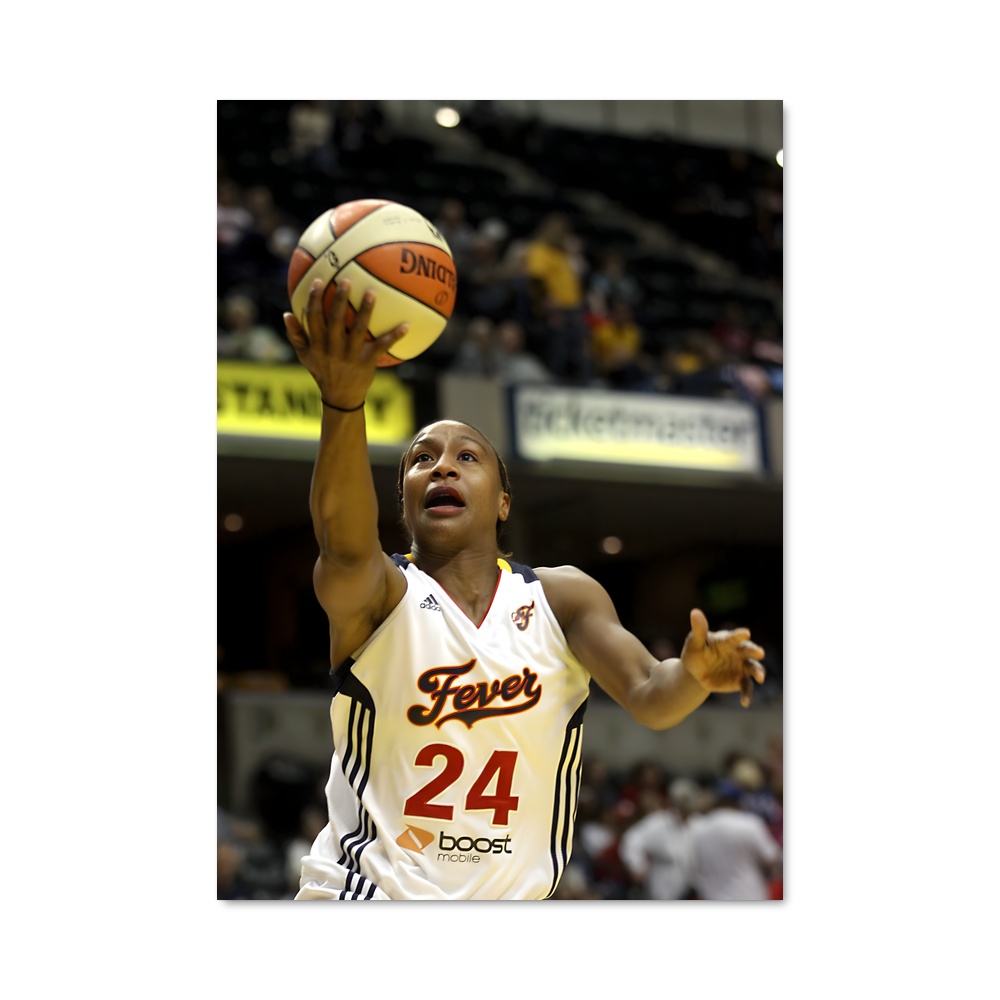 Poster Tamika de catchings – affiche Basketball